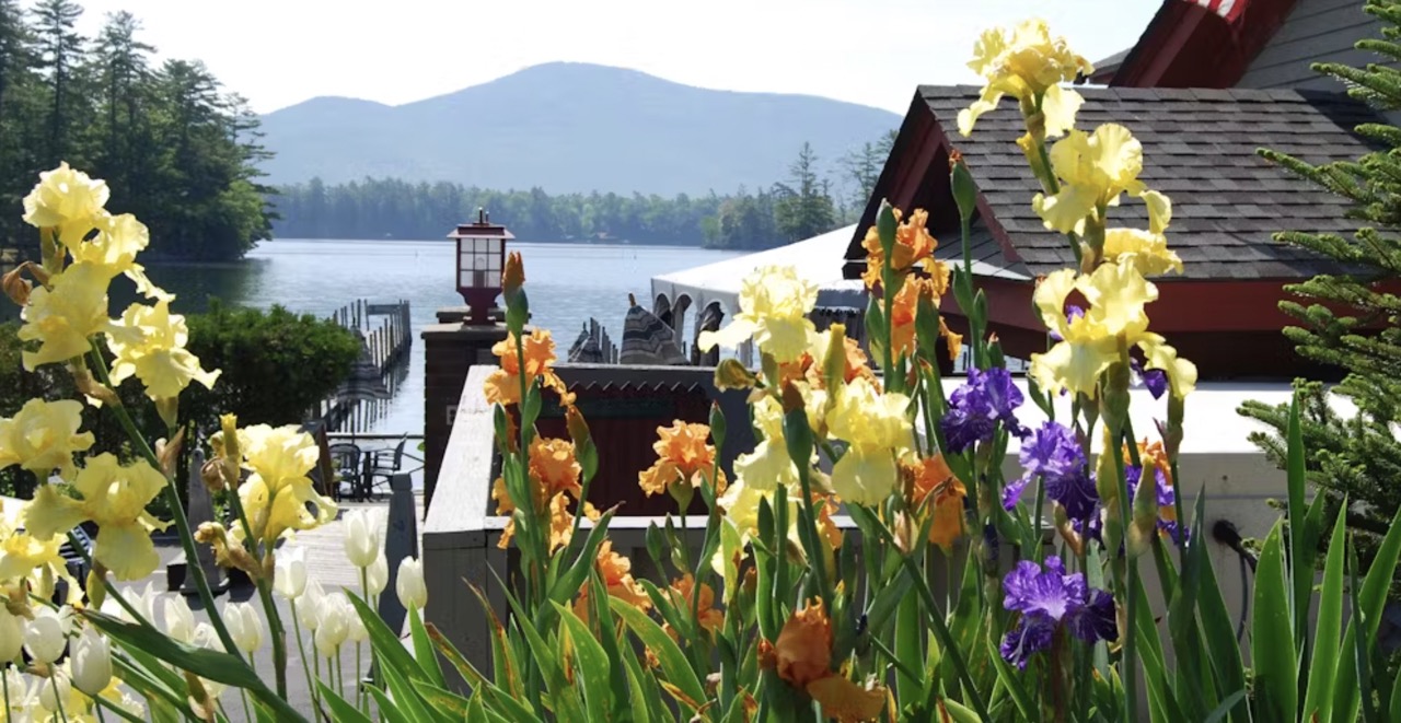The Algonquin